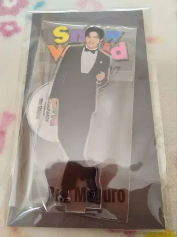 SnowMan Stadium Snow World 아크릴 스탠드 메구로 렌