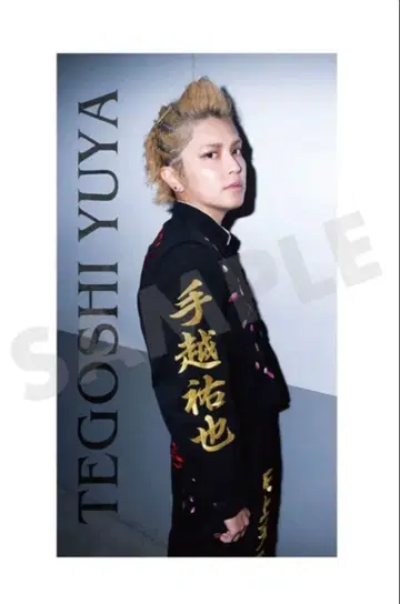 미개봉 새상품 테고시 유야 태피스트리 1 스페플라