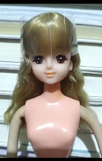 뮤지컬 히로인 제니 초대 제니 레트로 인형 리카짱 인형