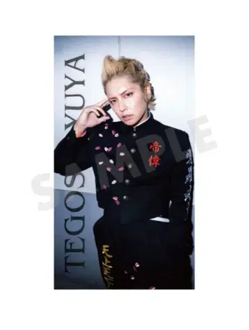 미개봉 새상품 테고시 유야 태피스트리 2 스페플라