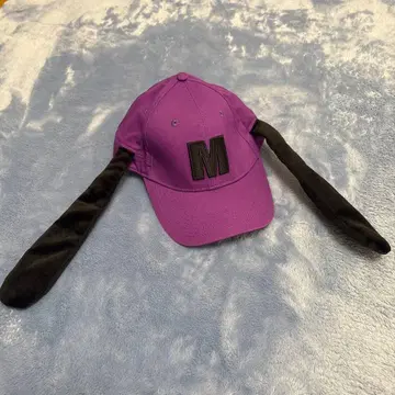 팬캡 맥스 모자