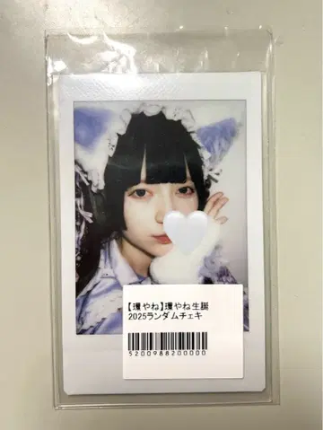 큐르시테 타마야네 란폴라로이드