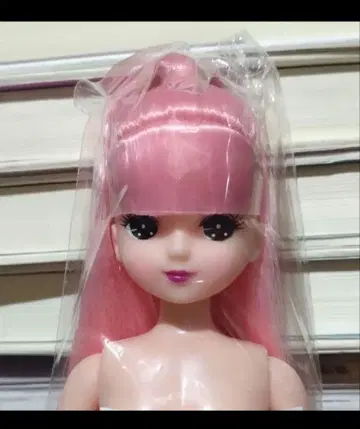 키라짱 오타노시미 인형 리카짱 캐슬 옷 갈아입히기 인형