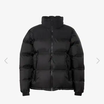 THE NORTH FACE GTX 눕시 자켓