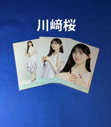 노기자카46 카와사키 벚꽃 차도 쪽 컴프