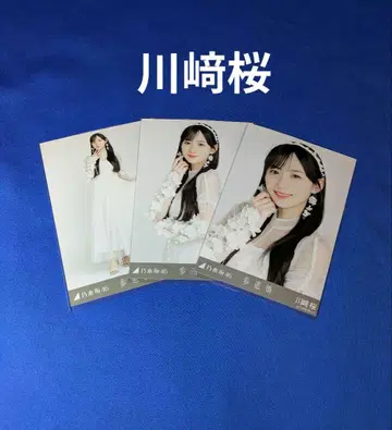 노기자카46 카와사키 사쿠라 보도교 컴프