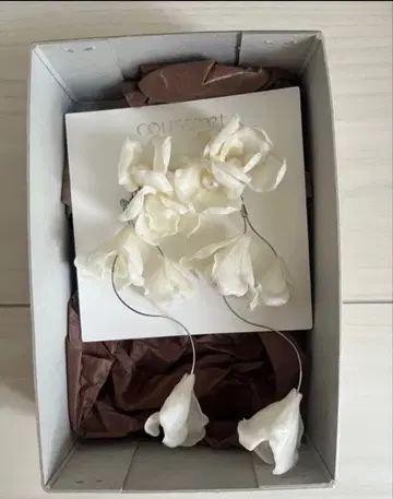 coussinet 쿠시네 귀걸이 모아