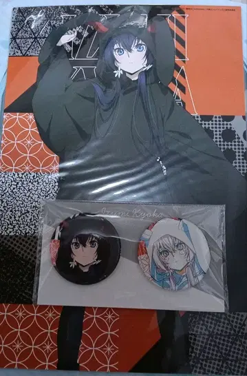 문호 스트레이독스 이즈미 쿄카 캔뱃지 빅 브로마이드 현대 일본 의류 세트