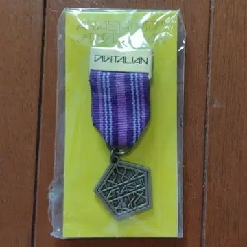 아라시 디지탈리안 브로치