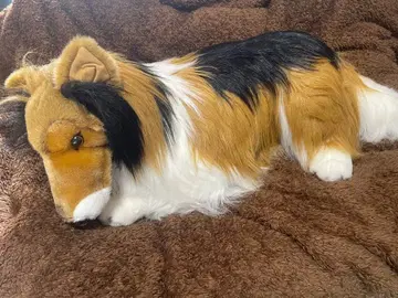 빅 사이즈 봉제 인형