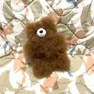 알파카 곰 테디베어 alpaca bear
