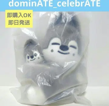 SKZOO 마그넷 플러시 세트 울프찬