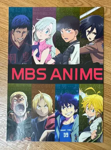 MBS ANIME FES. 2017 팜플렛