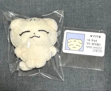 SEVENTEEN 조슈아 봉제 인형 마스터