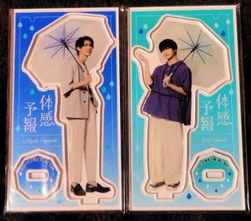 체감 예보 아크릴 스탠드 2체 세트 ( E&F )