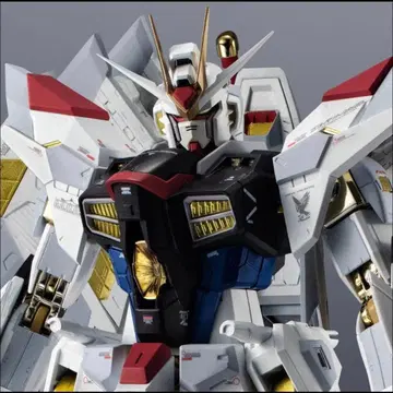 초합금 마이티 스트라이크 프리덤 건담