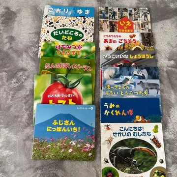 뭐든지 사이언스 1년분 세트 차일드 과학 그림책 유치원 추천