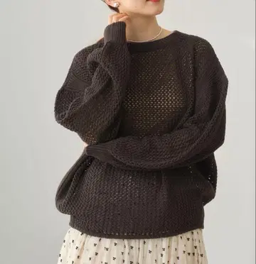 이에나 메쉬 니트 풀오버 브라운