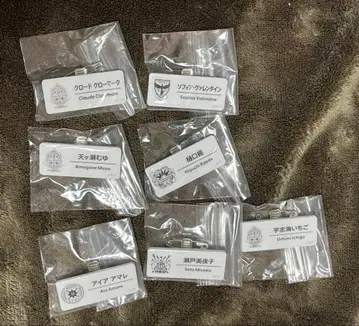 니지산지 네임 배지