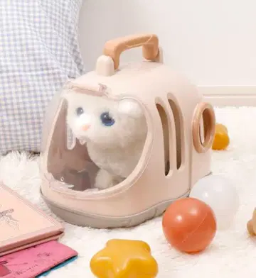 봉제 인형의 집 쓰리코인즈