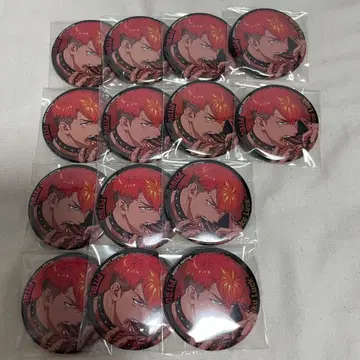 파라라이 료가 정리