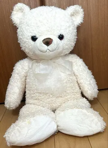 Dreaming Bears 빅 곰 봉제 인형