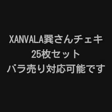 XANVALA 타츠미 씨 폴라로이드 25장 세트 판매