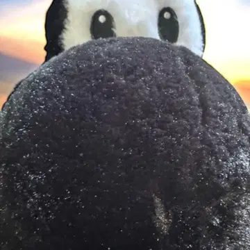 흐물흐물 봉제 인형 쿠로 요시