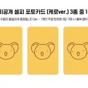 최립우 솔로앨범 애플뮤직 미공포 앨범 분철 공구 양도