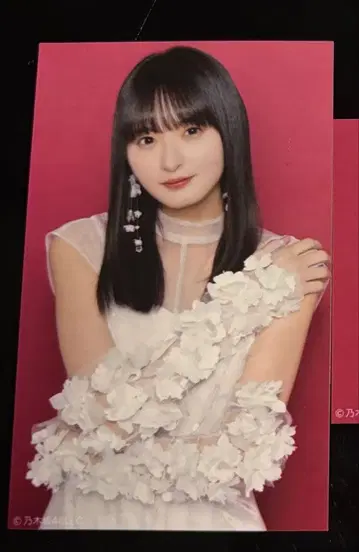 최저가 노기자카46 엔도 사쿠라 보도교 미니 브로마이드