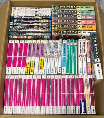 소드 아트 온라인 로그 호라이즌 기타