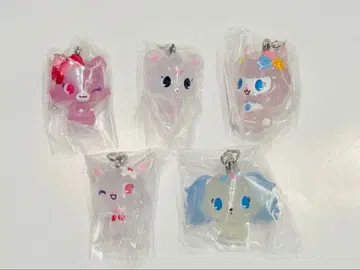 주얼펫 메지루시 액세서리 컴프