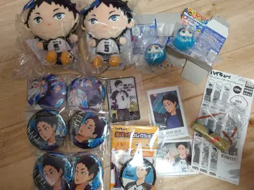 하이큐!! 아카아시 케이지 세트