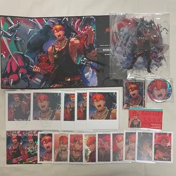 파라라이 료가 정리