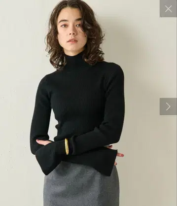 윔 가젯 베이직 리브 터틀