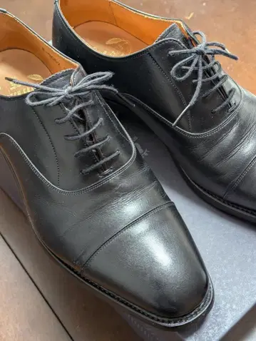 스코치 그레인 25 EEE 새상품급