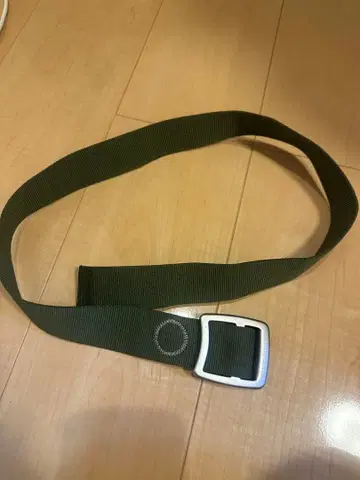 파타고니아 벨트