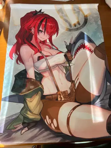 레인 패터슨 B2 태피스트리 니지산지 2장입니다