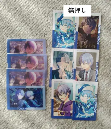 프로세카 에피카 아오야기 겨울 금박 묶음 판매