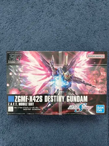 HG 1/144 ZGMF-X42S DESTINY GUNDAM