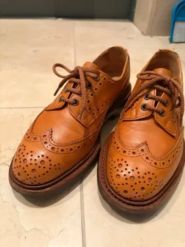 트리커스 bourton 에이콘 컬러 중고