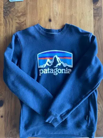 patagonia 크루넥 트레이닝복 S