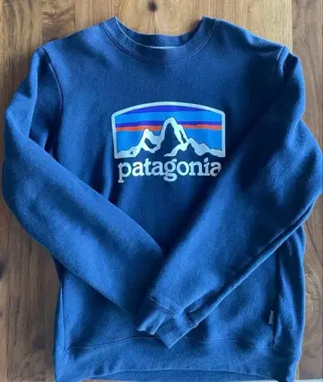 patagonia 크루넥 트레이닝복 S