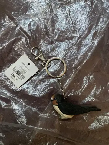 [새상품] 초레어 salut! 야생 조류 협회 나무 조각 야생 조류 키링