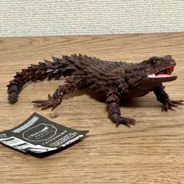 생물대도감 어드밴스 아르마딜로 도마뱀 블랙