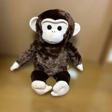 침팬지 (놀자! 침판포이) 봉제 인형