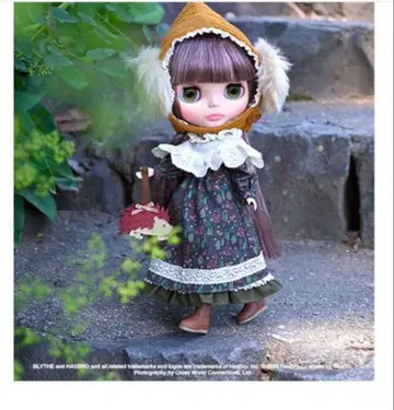 미개봉 새상품 헤지호그의 헤이즐 네오 브라이스 Blythe