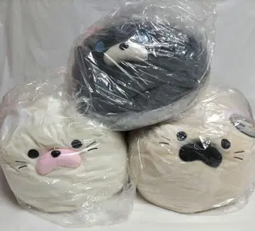 잠자는 고양이 서밋 초 서밋 야스니시 후지사와 토우메