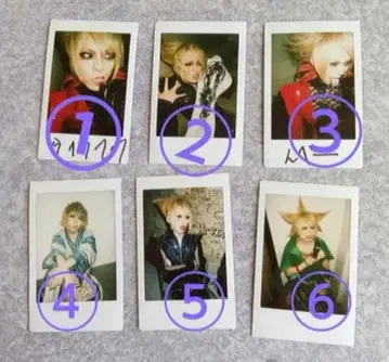 폴라로이드 사진 세트 낱개 판매 가능