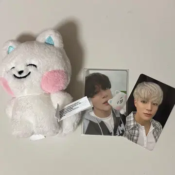 nct dream 드림 제노 굿즈 봉제 인형 트레이딩 카드 dremiez